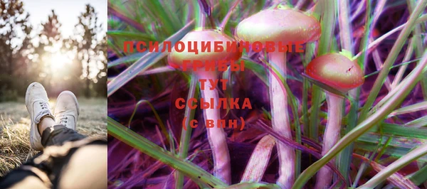 бошки Ельня