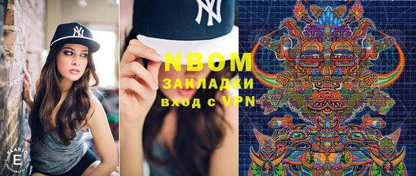 индика Заводоуковск